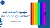 แผ่นพลาสติกลูกฟูก มีขนาดมาตรฐานเท่าไหร่