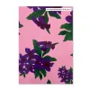 OPP - Purple Frangipani in pink background 954-4