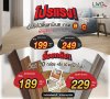Promotion 9.9 ไม้พื้นลามิเนต เกรด B-C Promotion 9.9 ไม้พื้นลามิเนต เกรด B-C