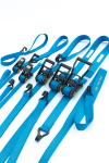 Cargo tie-down denices