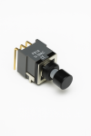 Pushbutton Switch