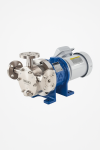 Rotary displacement pumps
