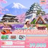 JXJ161 -  Sakura Golden Route OSAKA TOKYO โอซาก้า เกียวโต นารา ชิราคาวาโกะ โตเกียว ฟูจิ 6วัน 4คืน   เดือนมีนาคม  68