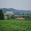 เสนอขายที่ดิน 51-2-57 ไร่ ต.บางเสร่ อ.สัตหีบ จ.ชลบุรี