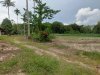 เสนอขายที่ดิน ขึ้นโฉนดเพื่อการเกษตรแล้ว