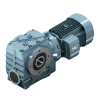 GS Series Worm Gear Motor