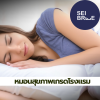 หมอนใยบอล