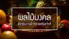 ผลไม้มงคลสำหรับเตรียมของไหว้ ผลไม้มงคลสำหรับเตรียมของไหว้