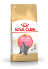 Royal Canin British Shorthair Kitten 2 kg. อาหารลูกแมวพันธุ์บริติช ชอร์ตแฮร์ ชนิดเม็ด