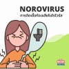 การติดเชื้อท้องเสียโนโรไวรัส (Norovirus) การติดเชื้อท้องเสียโนโรไวรัส (Norovirus)