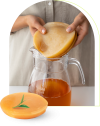 คอมบูชา (KOMBUCHA) &สโคบี้(SCOBY) คอมบูชา (KOMBUCHA) &สโคบี้(SCOBY)