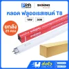 SHINING หลอด ฟลูออเรสเซนต์ Tube T8