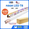 V Light หลอด LED Tube T8 รองรับทั้ง Single Ended/Double Ended