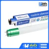 Wellux หลอด LED Tube T8 รองรับทั้ง Single Ended/Double Ended