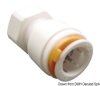 3/8" female/female fitting CODE 17.111.04