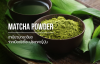 Matcha Powder / ชาเขียวบดละเอียด Matcha Powder / ชาเขียวบดละเอียด