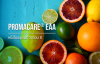 Vitamin C Derivatives / อนุพันธ์วิตามินซี Vitamin C Derivatives / อนุพันธ์วิตามินซี