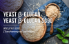 Yeast beta glucan / ยีสต์ เบต้า กลูแคน