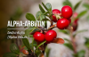Alpha Arbutin / อัลฟ่าอาร์บูติน Alpha Arbutin / อัลฟ่าอาร์บูติน
