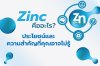 Zinc คืออะไร? ประโยชน์และความสำคัญที่คุณอาจไม่รู้ Zinc คืออะไร? ประโยชน์และความสำคัญที่คุณอาจไม่รู้