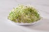 Alfalfa Extract สารสกัดพืชในตระกูลถั่ว Alfalfa Extract สารสกัดพืชในตระกูลถั่ว
