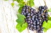 Grape Seed Extract (Food Grade) Grape Seed Extract (Food Grade)
