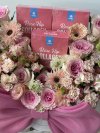 Bow Jumbo for Rose Hip Collagen