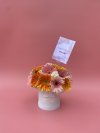 Gerbera Daisies Box S
