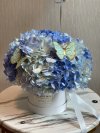 Shades of blue Hydrangea Box S