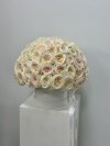 100 English roses box