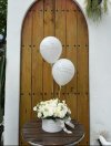White Garden Box
