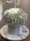 Snowflake Gypso Box L