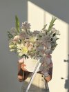 Bedazzle Gems Lily Box