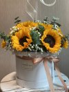 Sunflower Meadow Box XL