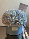 Blue Hydrangea Box L