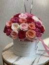 Rose Garden Box 50 Roses