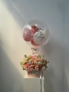 Mix Peach Blushing Garden Box