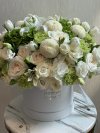 Green and White Tulips Hydrangea Lilies Mix Box XXL