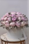 Peonies 50-Stem Box
