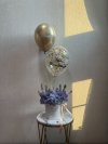 Blue Margaret Bloom Box