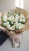 30 White Tulips
