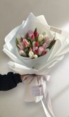 30 Pink Red White Tulips
