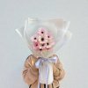 10 Stems Mini Gerbera Bouquet