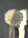 100 White Roses Bouquet