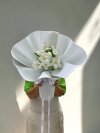 10 White Tulips Foam Wrapping