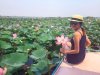 เม็ดบัวอบกรอบ roasted lotus seeds snack