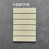 Y45P319 Strip Mosaic (Glossy)