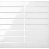 Y33F01 Strip Mosaic (Glossy)
