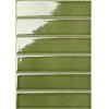 Y45P356 Strip Mosaic (Glossy)
