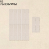 R2 Blossom Crackle Series™ (Glossy)